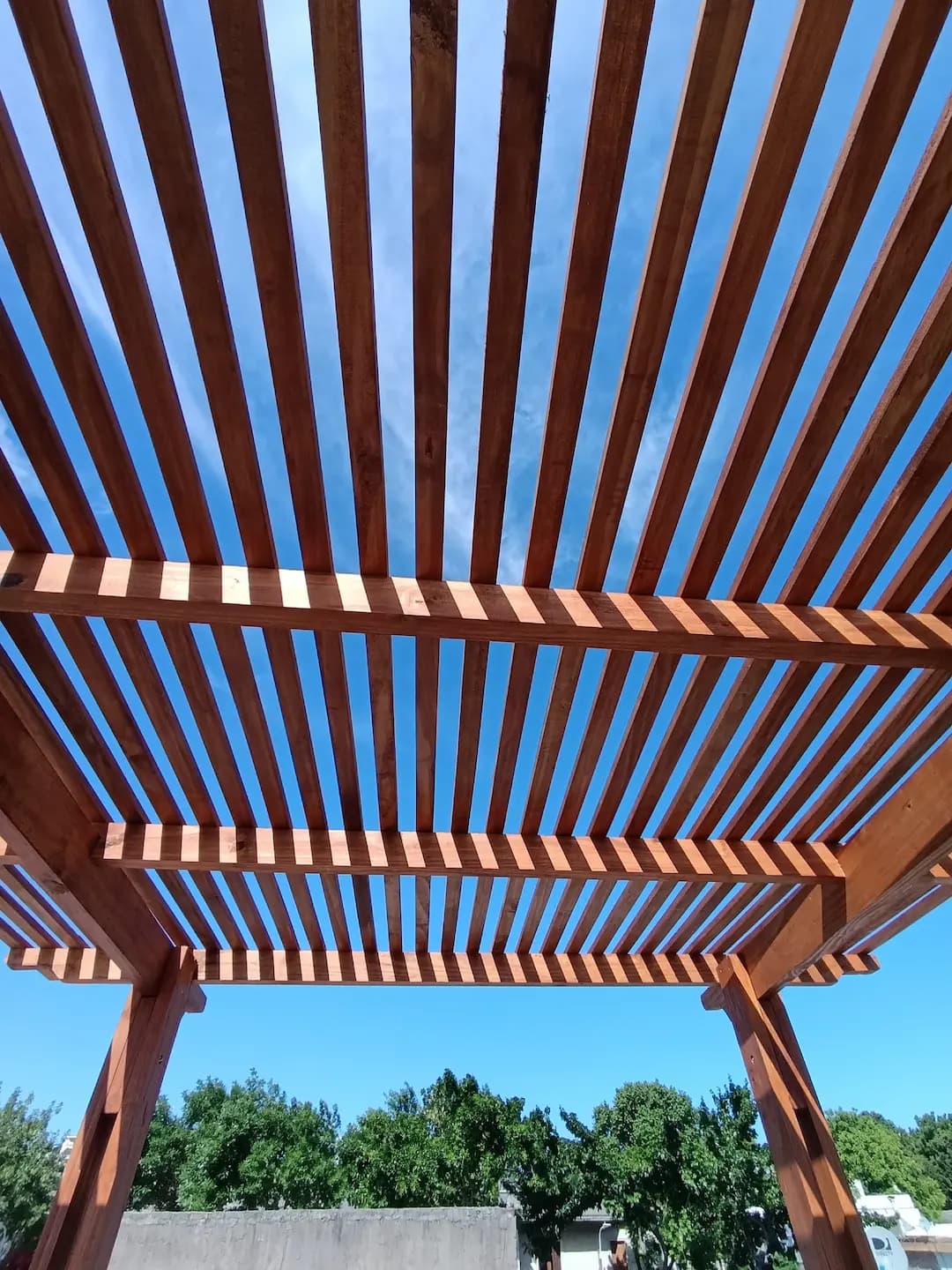 Grupo disfrutando bajo una pérgola